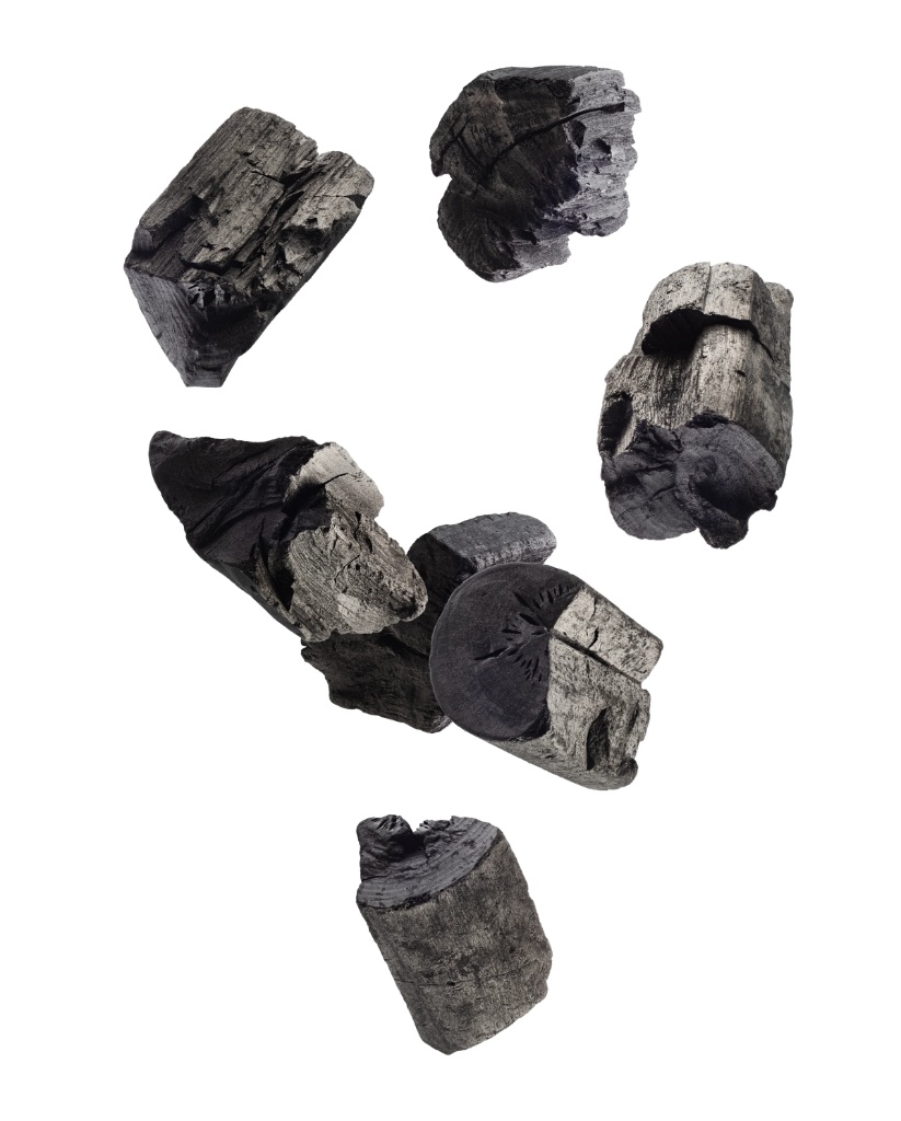 Activated Carbon Pieces